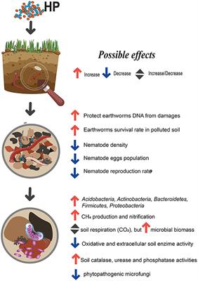 Outlining the Potential Role of Humic Products in Modifying Biological Properties of the Soil—A Review